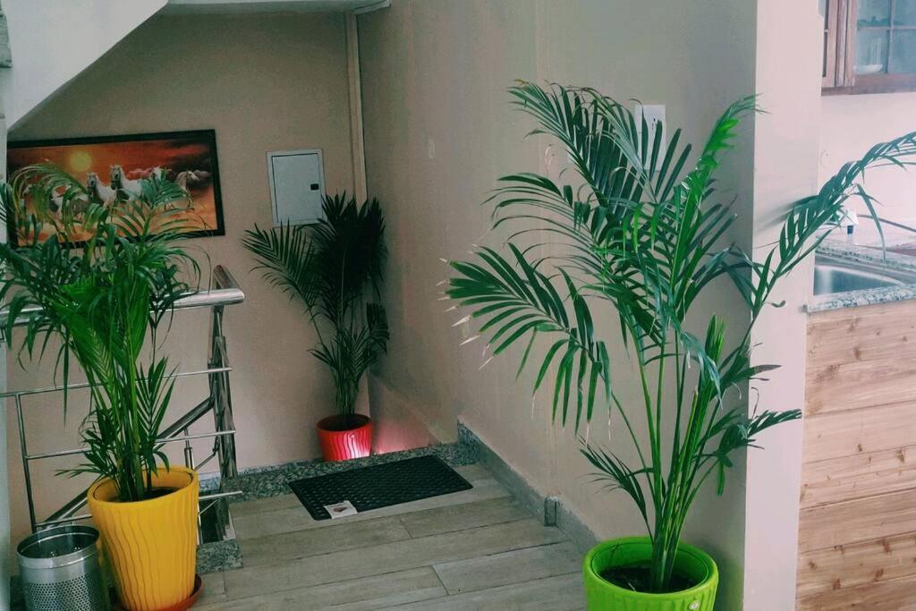 Fairview Wayside Villa Kasauli Exterior foto